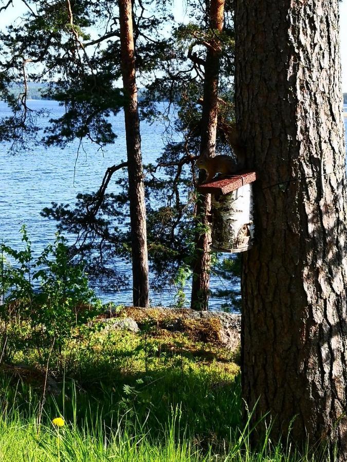 Club House Hotelli Kaipolan Ranta Jämsä Zewnętrze zdjęcie